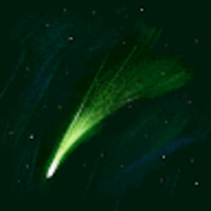 Meet your Posher, Rachael